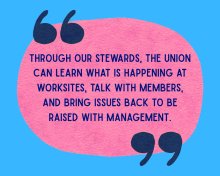 a quote from the article